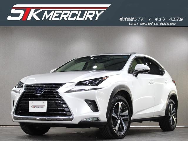 Lexus NX 2019 — фото автомобиля 1