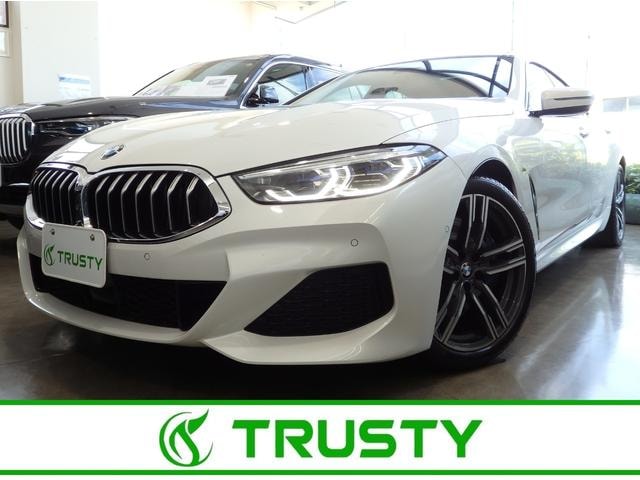 Bmw 8 SERIES 2019 — фото автомобиля