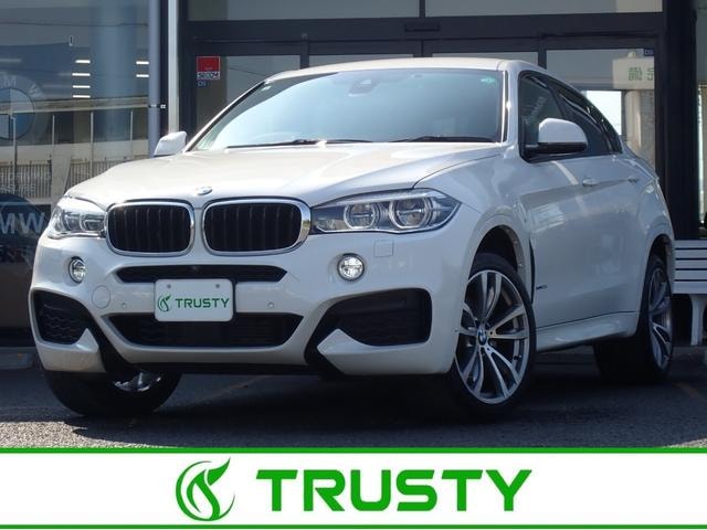 Bmw X6 2019 — фото автомобиля