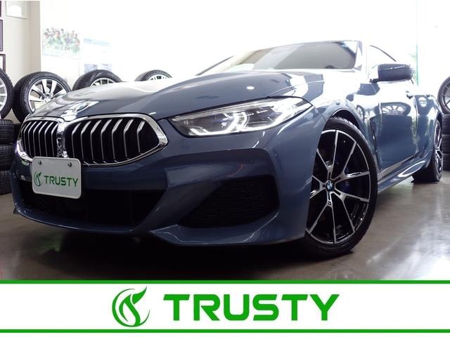 Bmw 8 SERIES 2022 — фото автомобиля