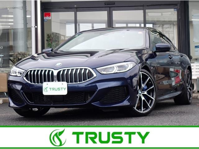 Bmw 8 SERIES 2021 — фото автомобиля