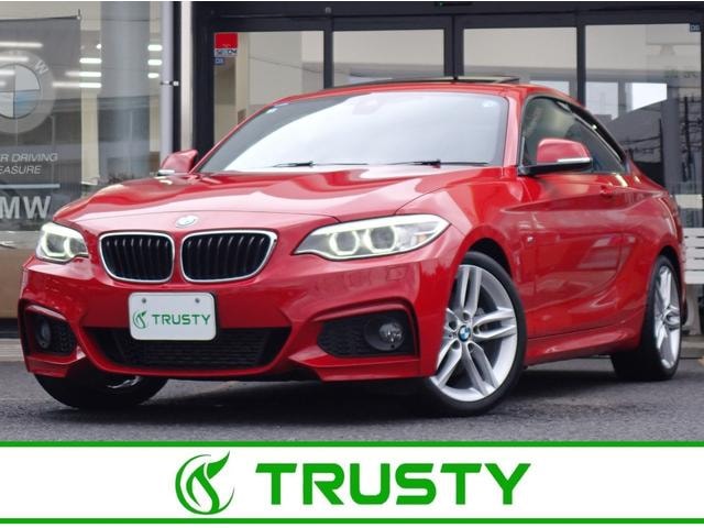 Bmw 2 SERIES 2014 — фото автомобиля