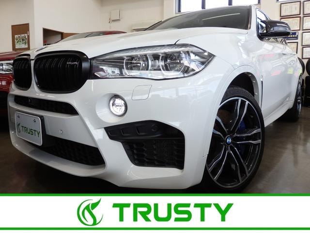Bmw X6 M 2017 — фото автомобиля 1