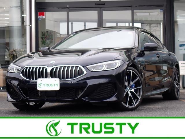 Bmw 8 SERIES 2021 — фото автомобиля 1
