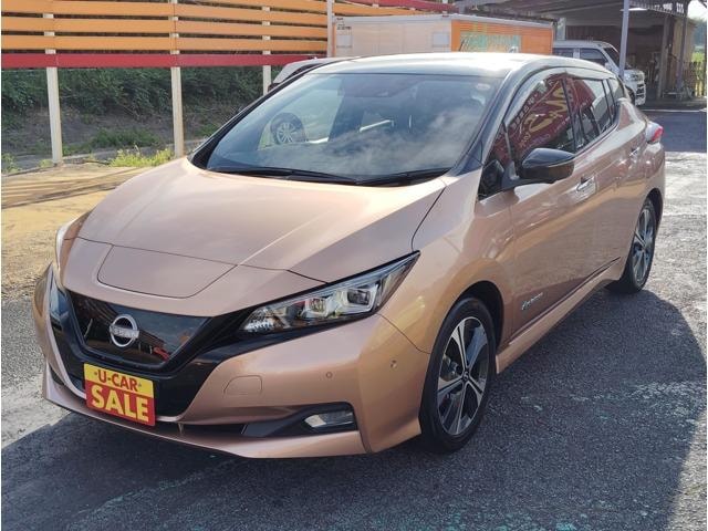 Nissan LEAF 2021 — фото автомобиля 1