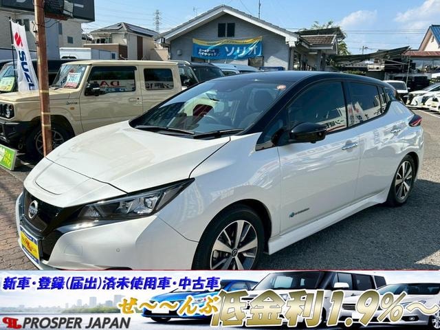 Nissan LEAF 2021 — фото автомобиля 1