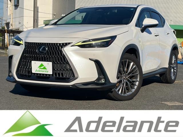 Lexus NX 2022 — фото автомобиля 1