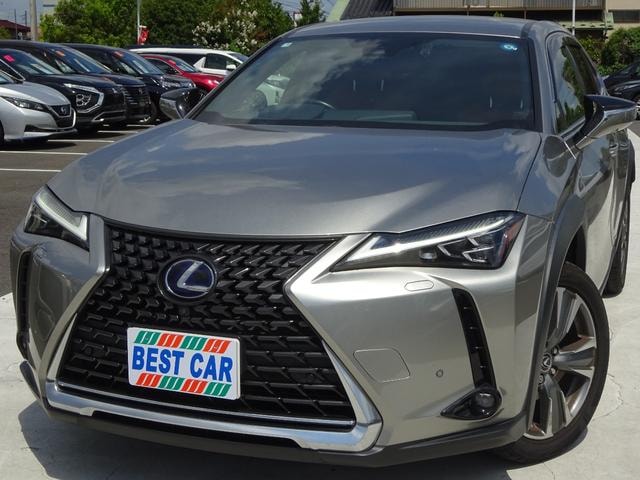 Lexus UX 2021 — фото автомобиля 1