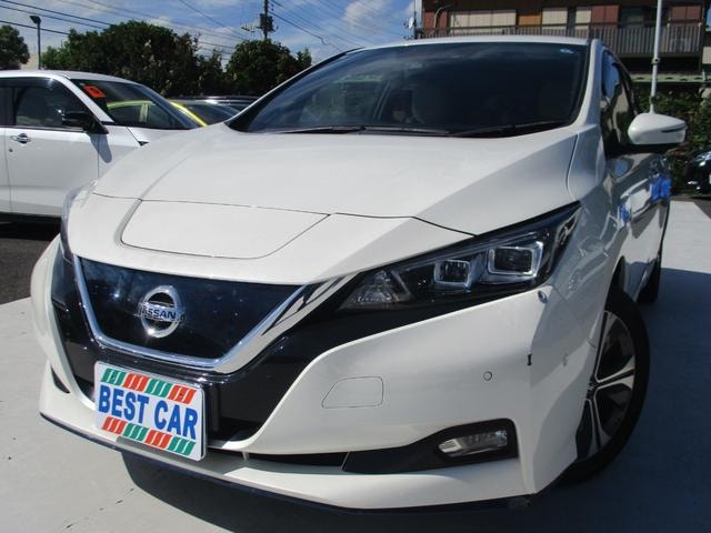Nissan LEAF 2019 — фото автомобиля 1