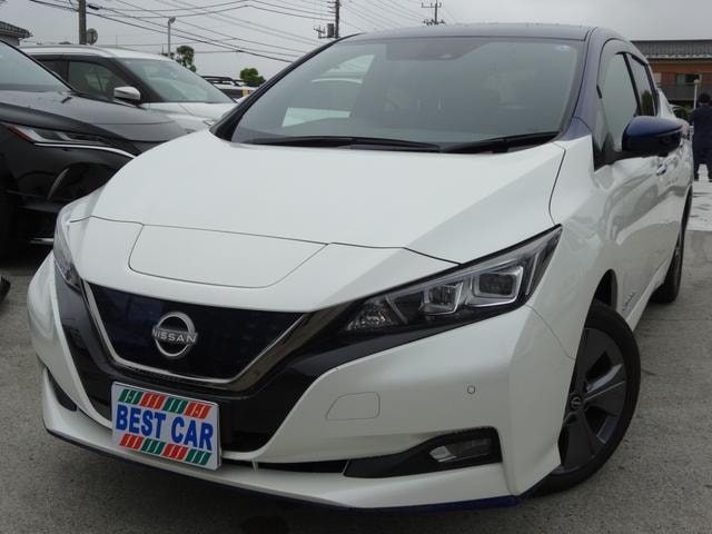 Nissan LEAF 2022 — фото автомобиля 1