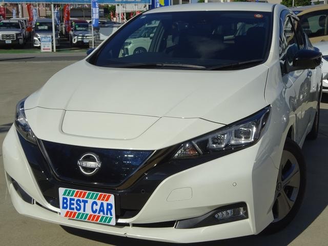 Nissan LEAF 2021 — фото автомобиля 1