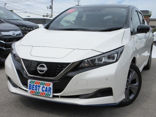 Nissan LEAF 2021 — фото автомобиля 1