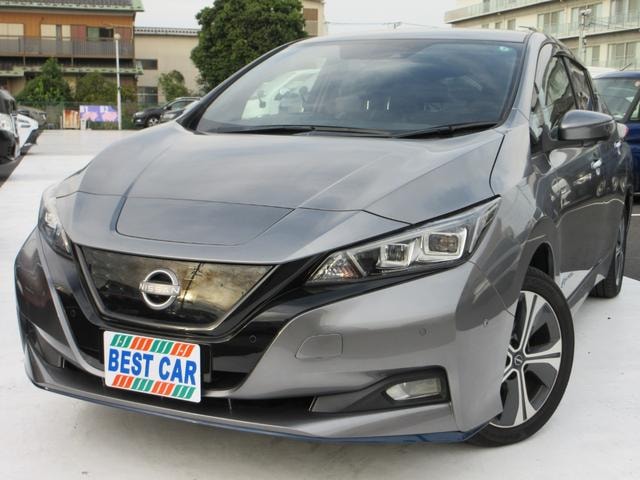 Nissan LEAF 2021 — фото автомобиля