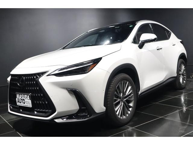 Lexus NX 2023 — фото автомобиля 1