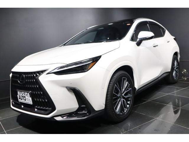 Lexus NX 2024 — фото автомобиля