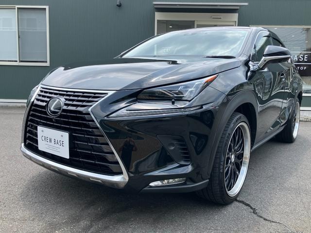 Lexus NX 2018 — фото автомобиля 1