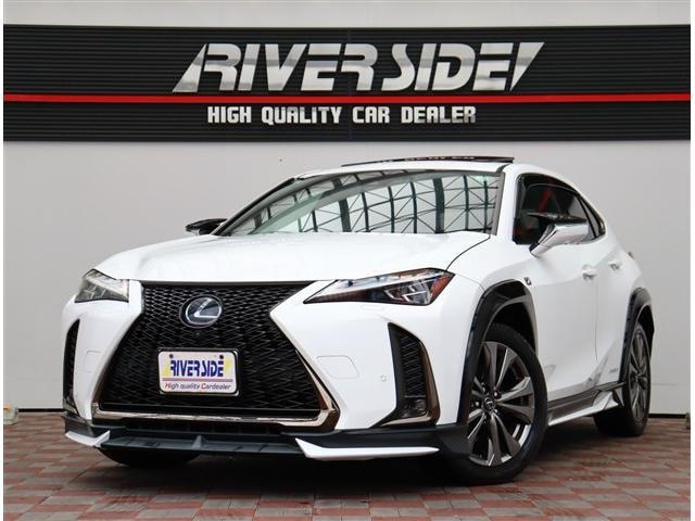 Lexus UX 2019 — фото автомобиля 1