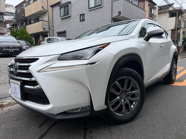 Lexus NX 2014 — фото автомобиля 1