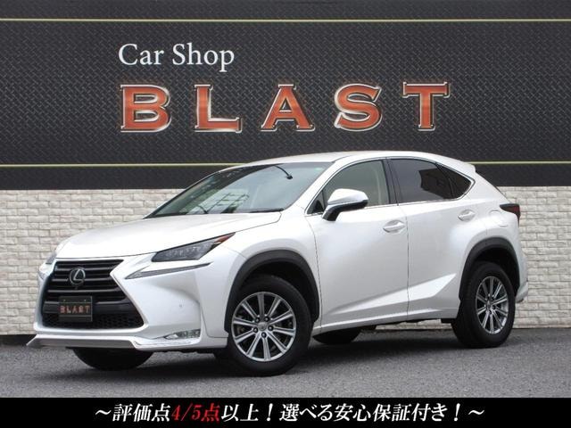 Lexus NX 2015 — фото автомобиля 1