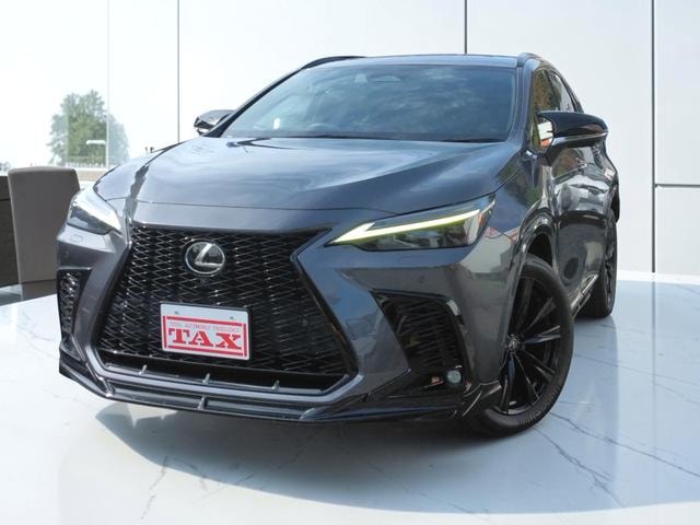 Lexus NX 2021 — фото автомобиля