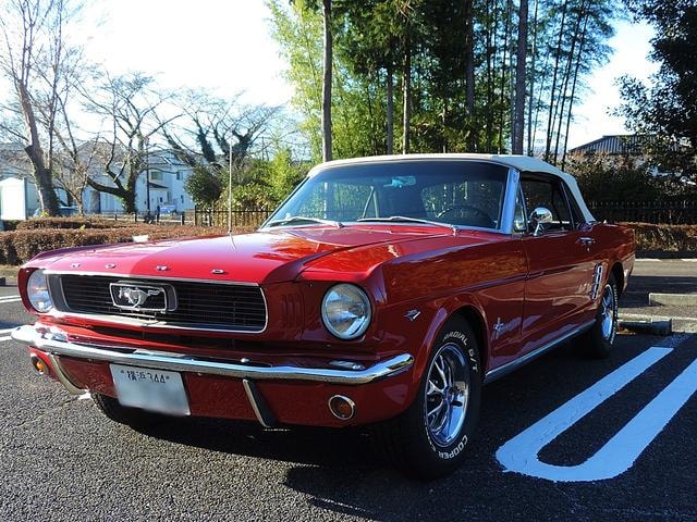 Ford MUSTANG  — фото автомобиля 1