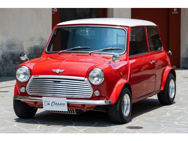 Rover MINI 1991 — фото автомобиля 1