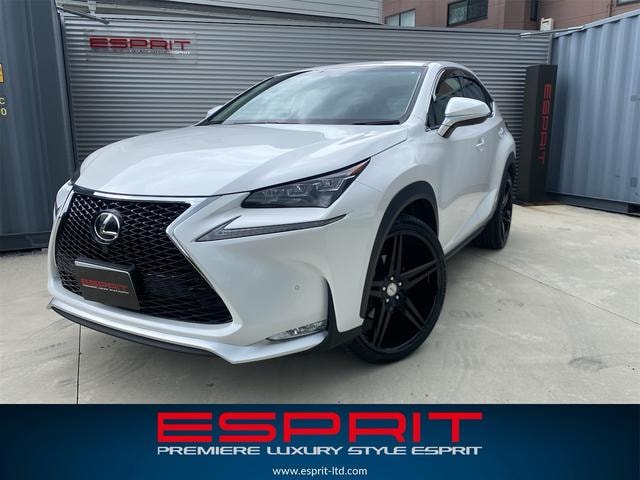 Lexus NX 2016 — фото автомобиля 1