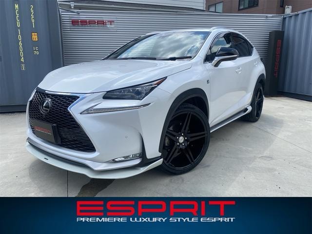 Lexus NX 2014 — фото автомобиля 1