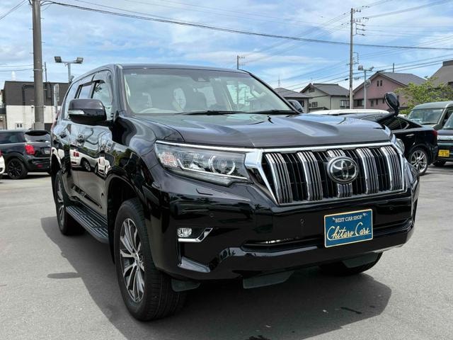 Toyota LAND CRUISER PRADO 2019 — фото автомобиля