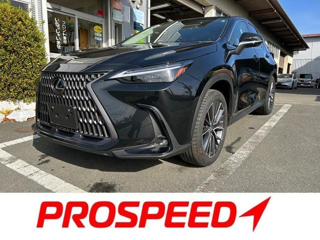 Lexus NX 2023 — фото автомобиля 1
