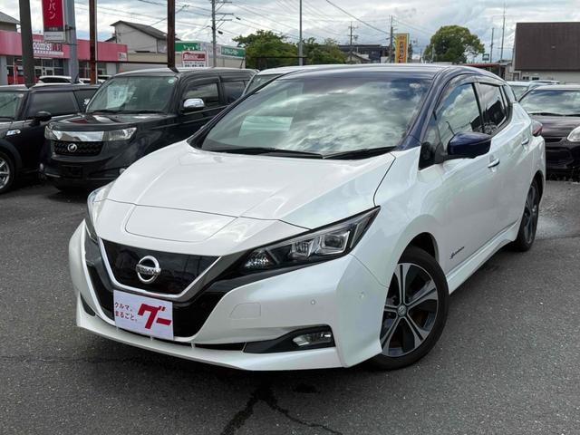 Nissan LEAF 2017 — фото автомобиля