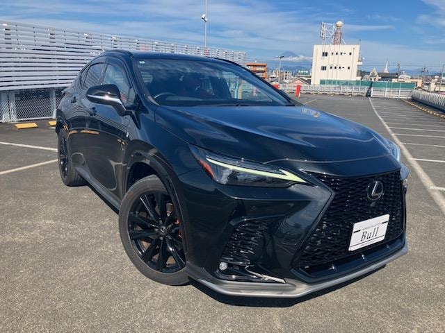 Lexus NX 2022 — фото автомобиля