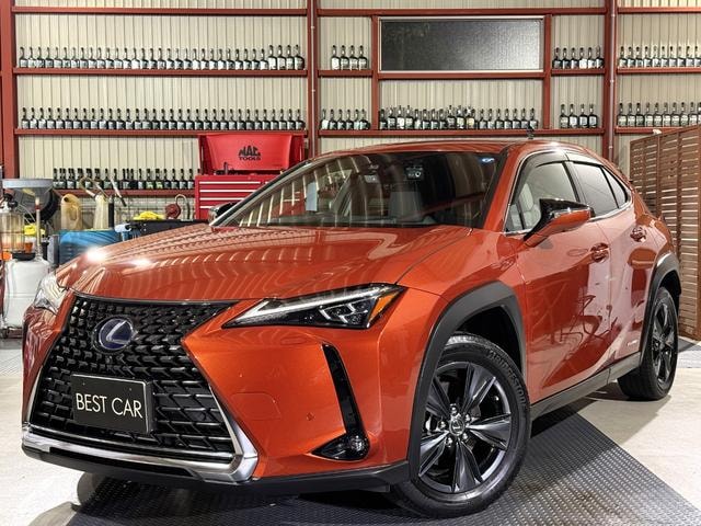 Lexus UX 2022 — фото автомобиля 1