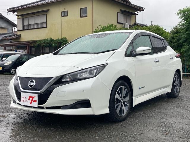 Nissan LEAF 2019 — фото автомобиля 1