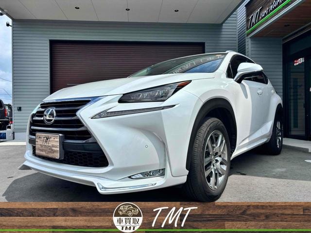 Lexus NX 2015 — фото автомобиля 1
