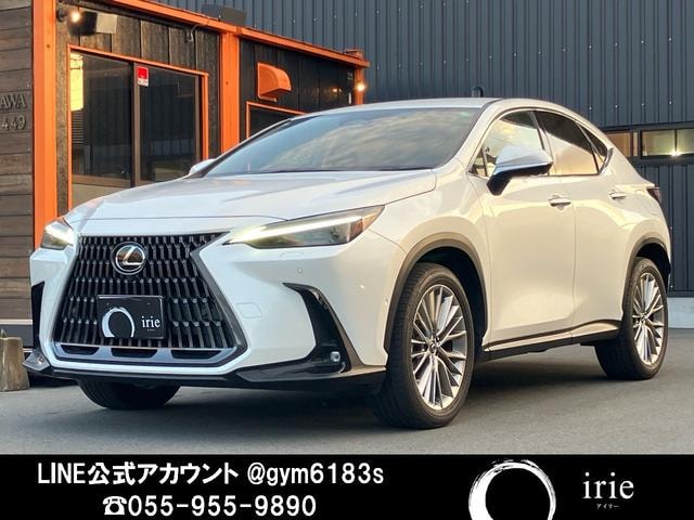 Lexus NX 2021 — фото автомобиля