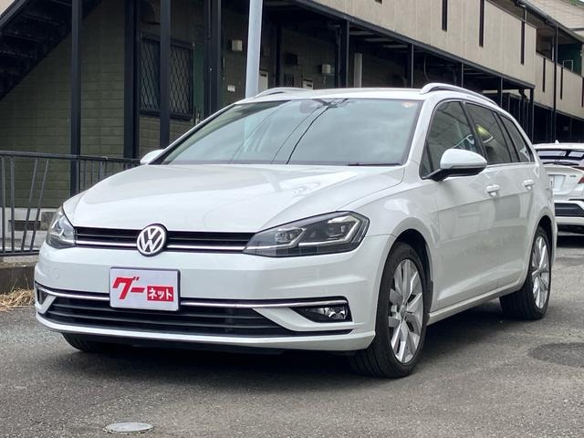 Volkswagen GOLF VARIANT 2018 — фото автомобиля