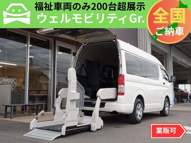 Toyota REGIUS ACE VAN 2019 — фото автомобиля