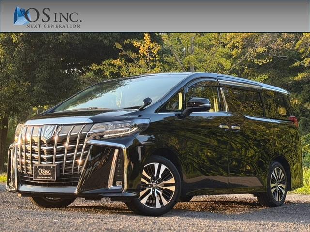 Toyota ALPHARD 2022 — фото автомобиля