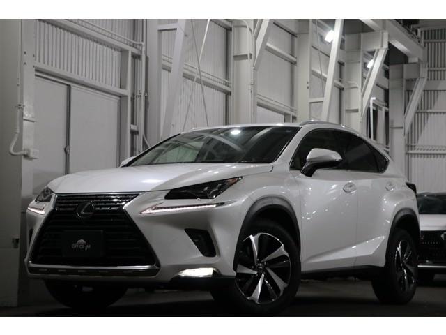 Lexus NX 2019 — фото автомобиля 1