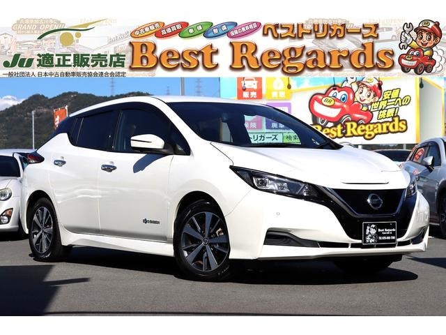 Nissan LEAF 2019 — фото автомобиля