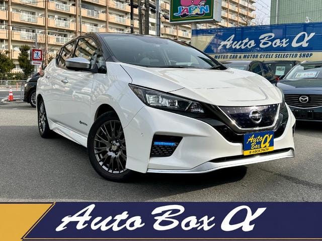 Nissan LEAF 2019 — фото автомобиля 1
