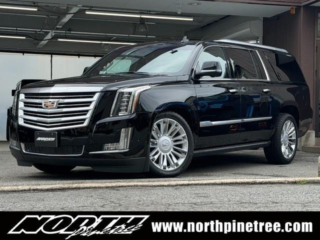 Cadillac ESCALADE 2019 — фото автомобиля
