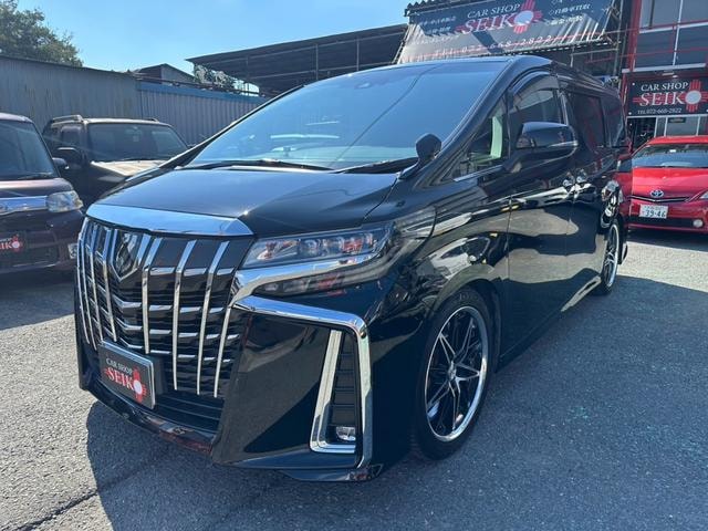 Toyota ALPHARD 2019 — фото автомобиля