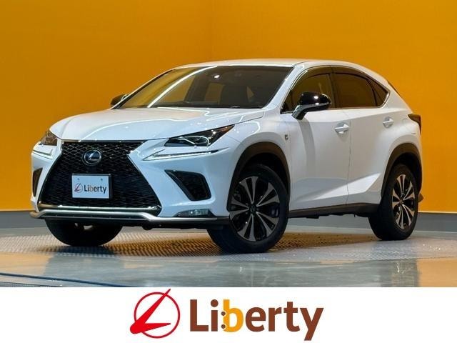 Lexus NX 2018 — фото автомобиля 1