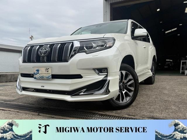 Toyota LAND CRUISER PRADO 2022 — фото автомобиля