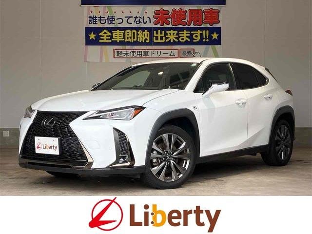 Lexus UX 2019 — фото автомобиля 1