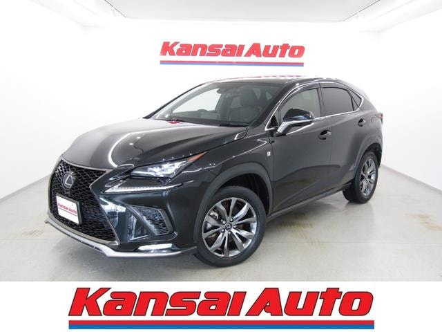 Lexus NX 2019 — фото автомобиля