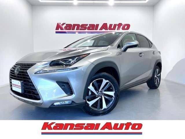 Lexus NX 2018 — фото автомобиля 1