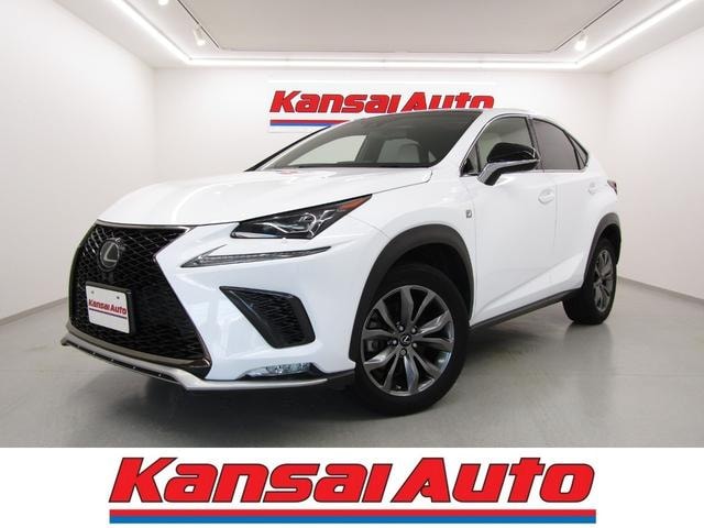 Lexus NX 2019 — фото автомобиля